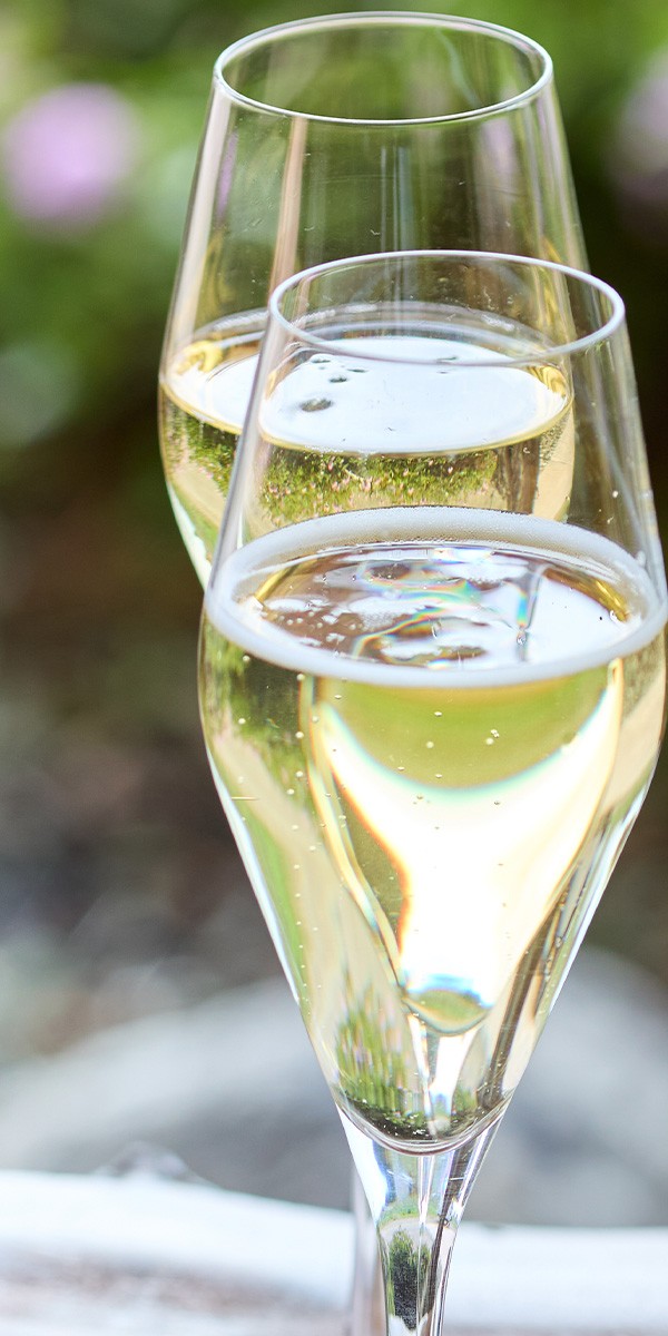 Toast to the New Year | Friday, Jan. 23